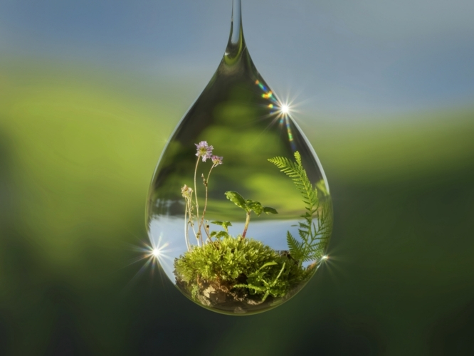 Kocapınar Su - Doğal Kaynak Suyu Şeffaf Üretim