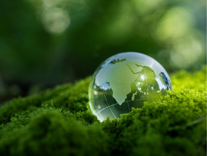 Kocapınar Su - Doğal Kaynak Suyu Sürdürülebilir Yaklaşım